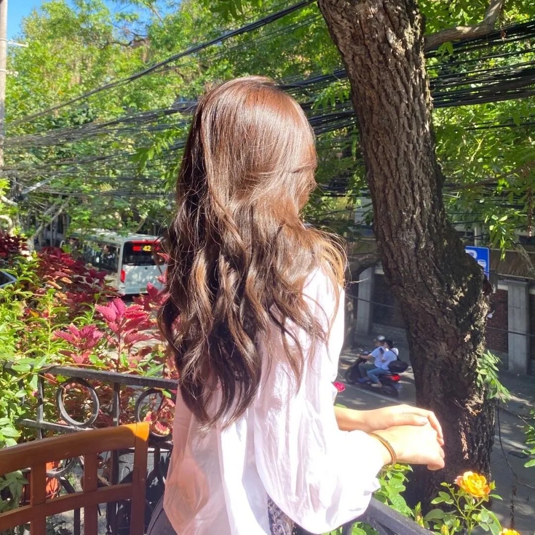 沙之花也有春天海报